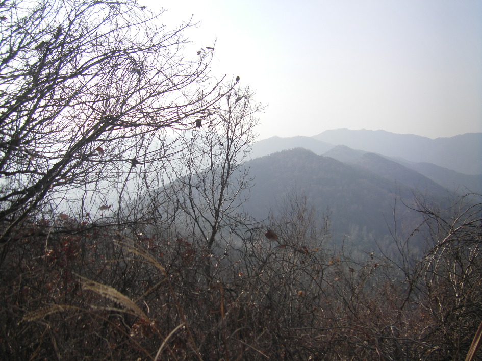 김해 금병산-응봉산