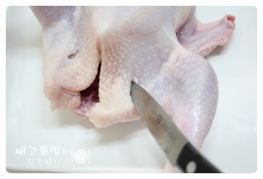 말복에 해먹은 여름 대표보양식.