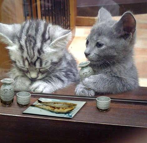 113274504E05ED9D01C17D