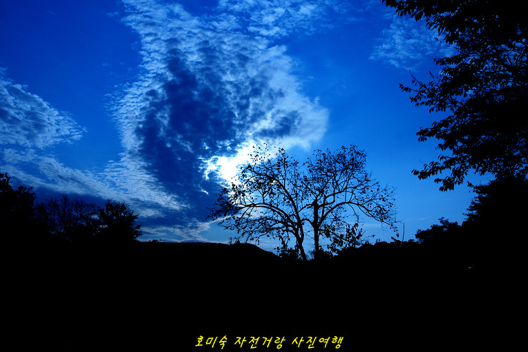 파랑갤러리 이미지
