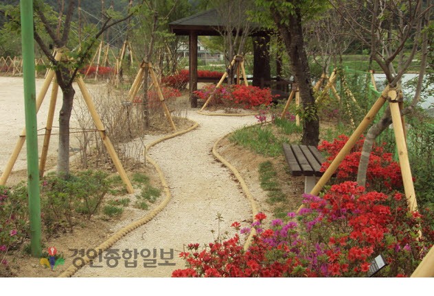 푸른교육 이미지