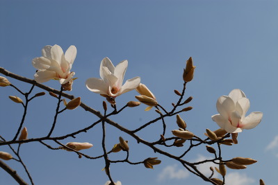 125745345170DF1205C6BE