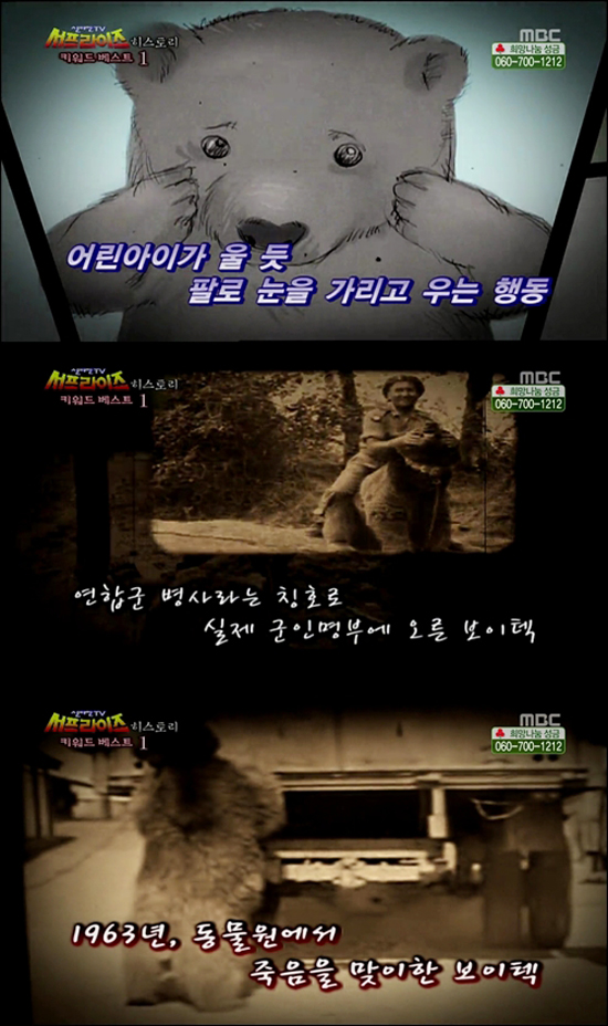 보이텍 이미지