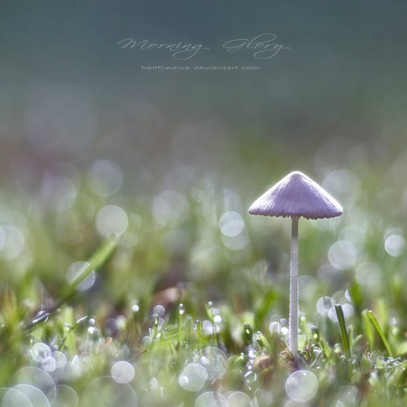 1342721C49B0593817F416