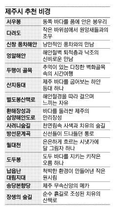 [스크랩] “이제 알려진 곳은 싫다” 제주 비경 인기 (서울신문기사)