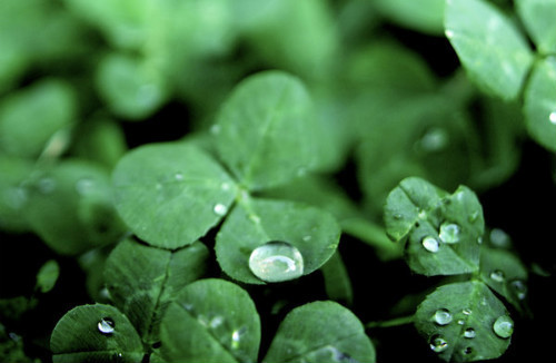 1378860A49DD63969229FB