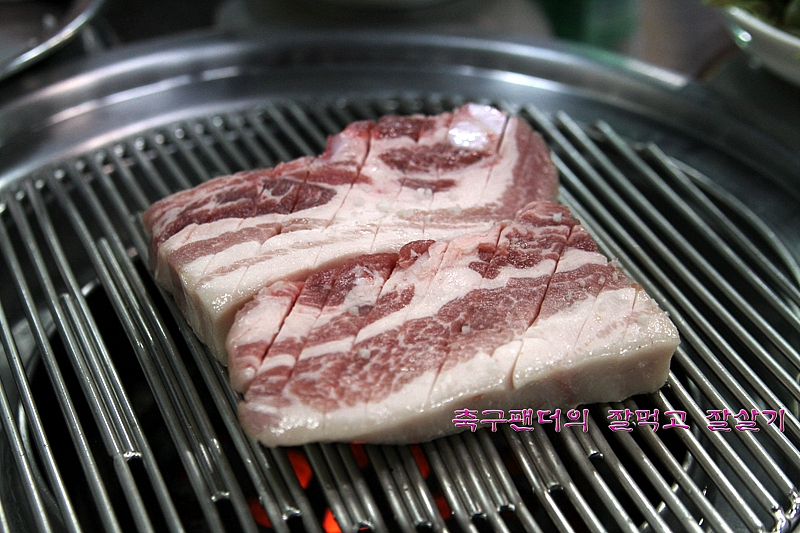 참돈 이미지