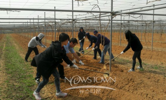 스테코(주) 이미지