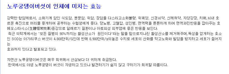 猴头菇-노루궁뎅이버섯