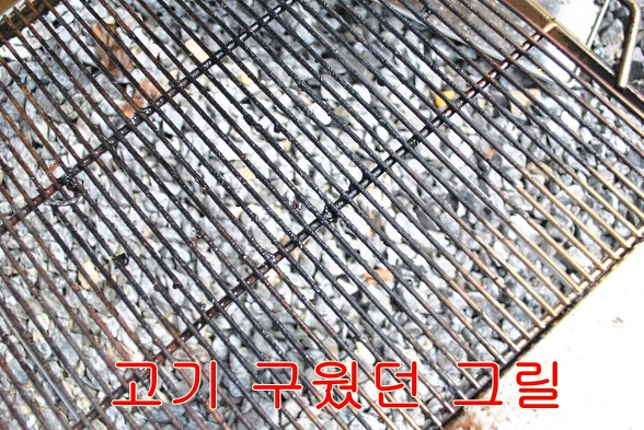 파인트리캠핑장 이미지