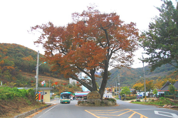 수락모텔 이미지