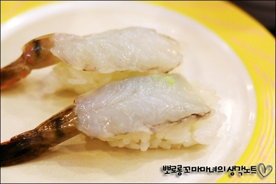 와일드원 이미지