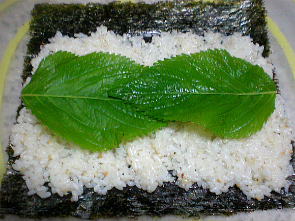 참치김밥