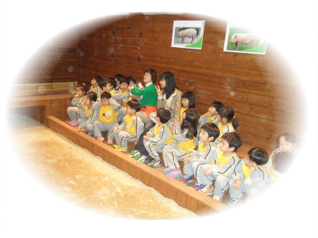 안흥초등학교 이미지