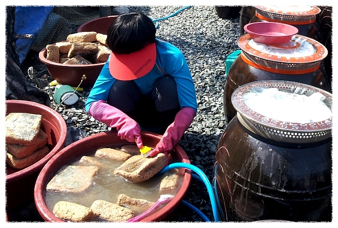 방정현의 고향 장마을, 길일에 장 담그기..