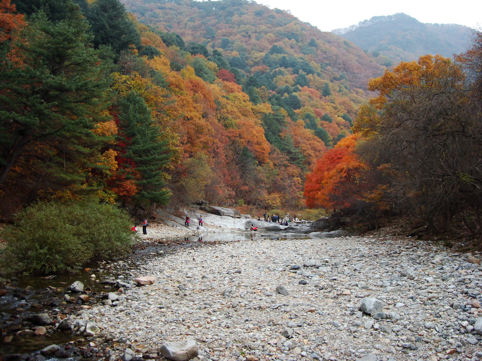 강원산소 이미지
