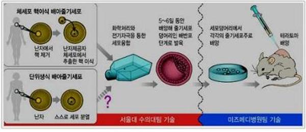 금광기획 이미지