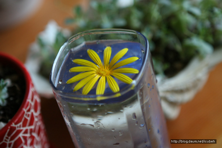 솔바람 잘 지내고 있어요 ~~~~