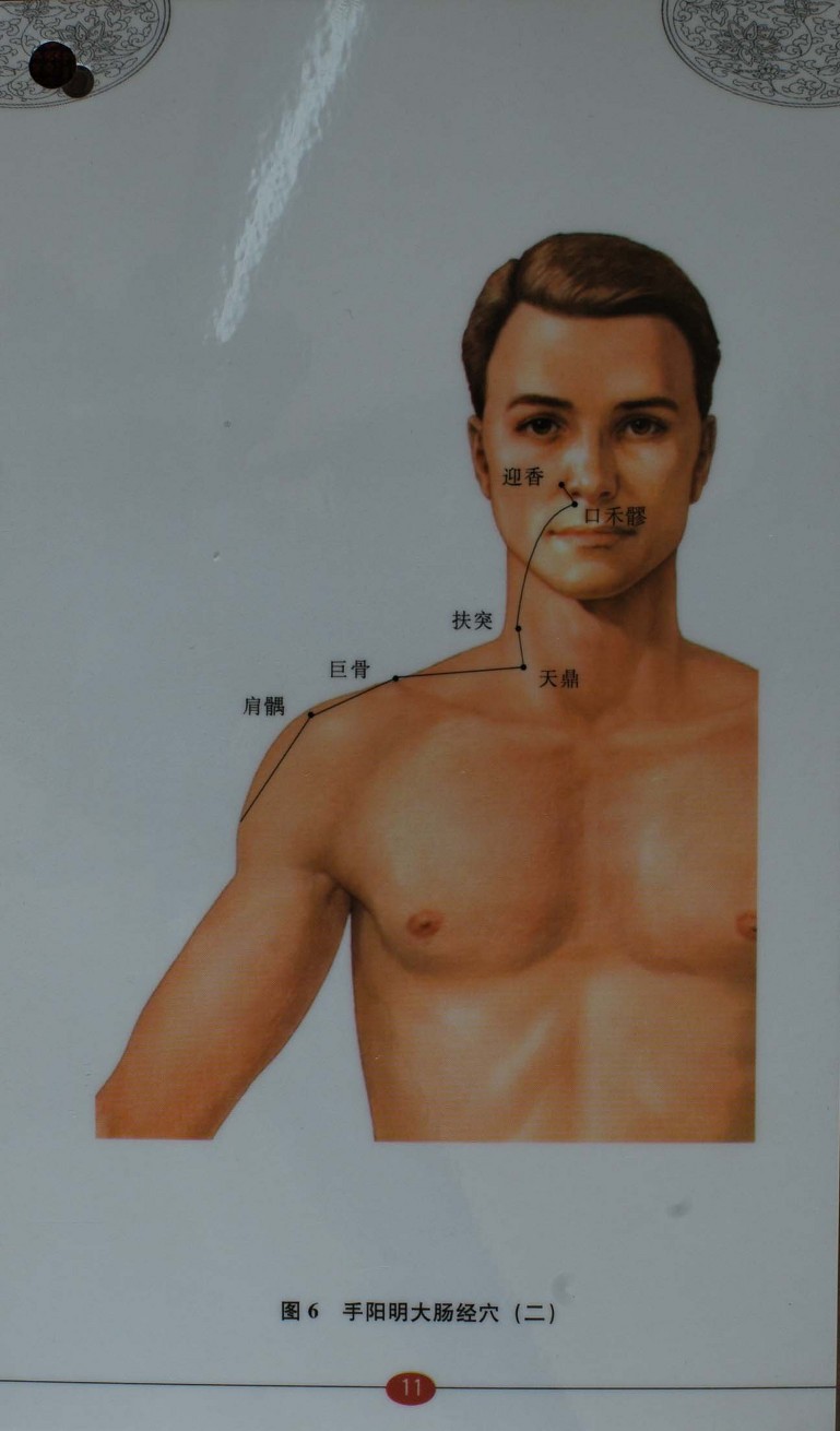  침구경혈자리