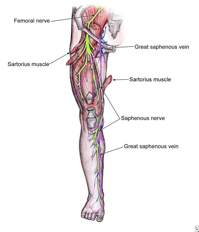 Saphenous nerve block