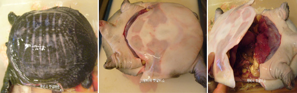 용봉백숙 이미지