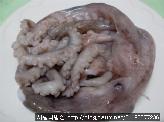 친정엄마 손맛 따라잡기! 눈물나게 화끈한 낙지볶음>_<