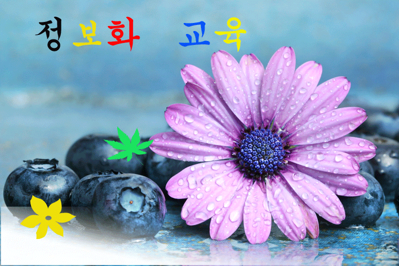 포토샵 공부