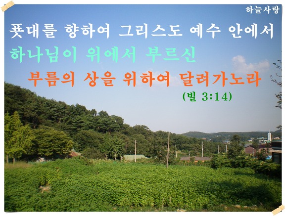 피니 이미지