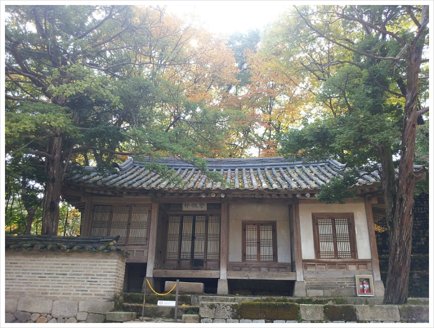 [서울여행 가볼만한 곳] 서울 살이 30년 만에 처음 갔던 창덕궁 후원. 비원의 가을 풍경