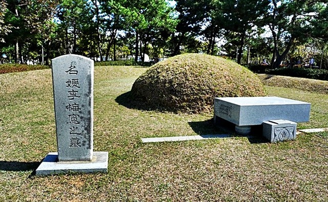 이화우 이미지