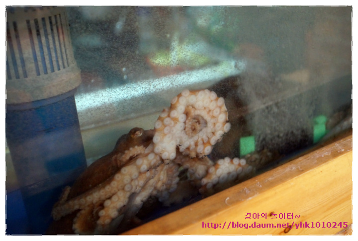 착한산곰장어 이미지