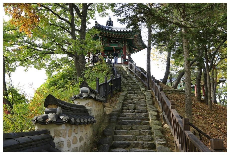 황의정승이 기러기를 벗삼아 놀았다는 반구정
