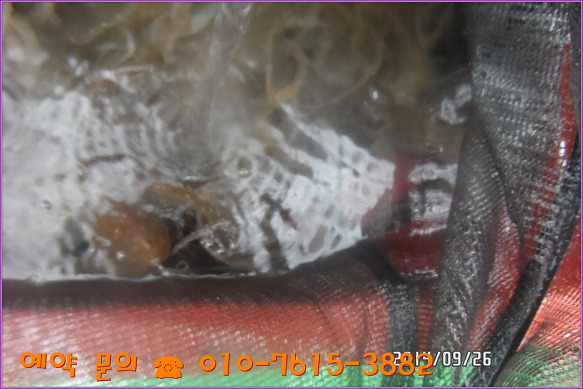 213A3A4D542562040F128F