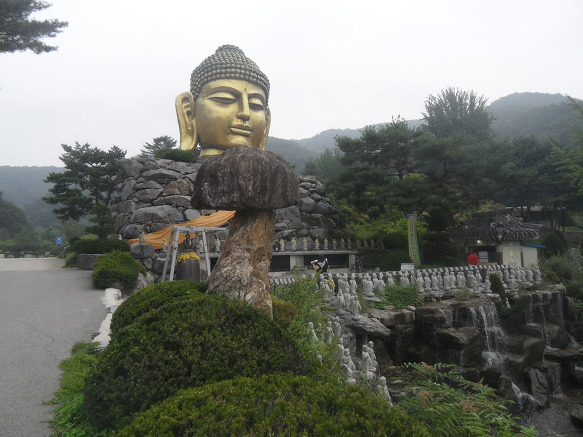 사단법인 대한불교교종 이미지