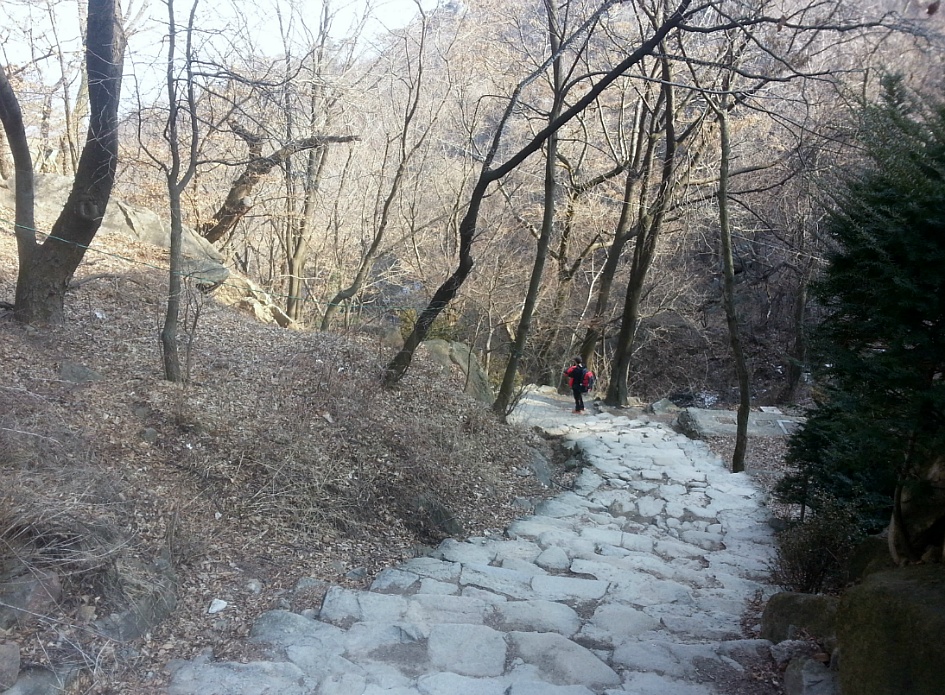자하 이미지