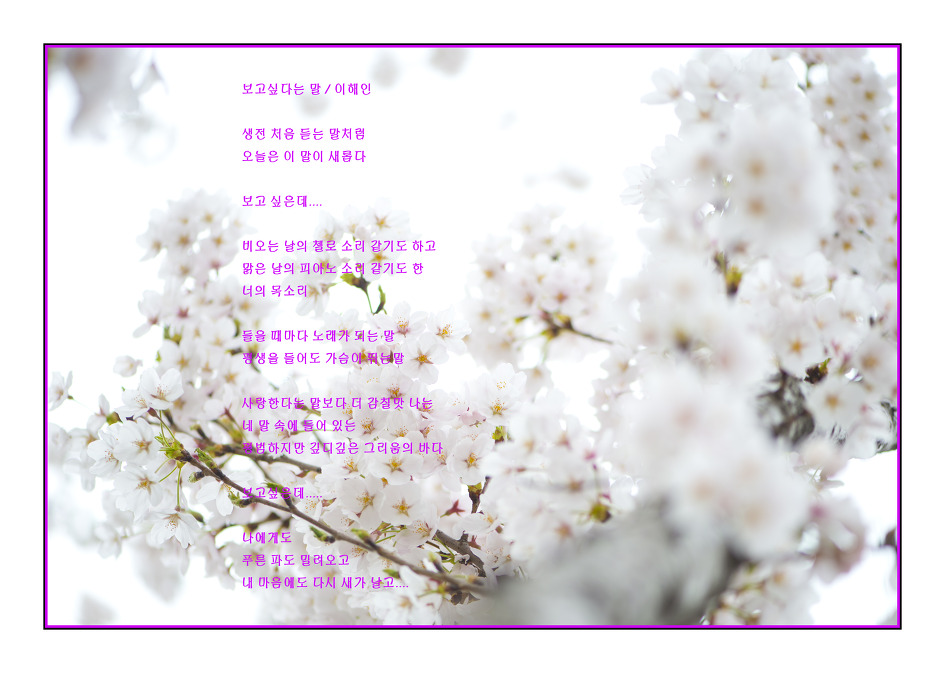 이해인수녀님 .용혜원님 시