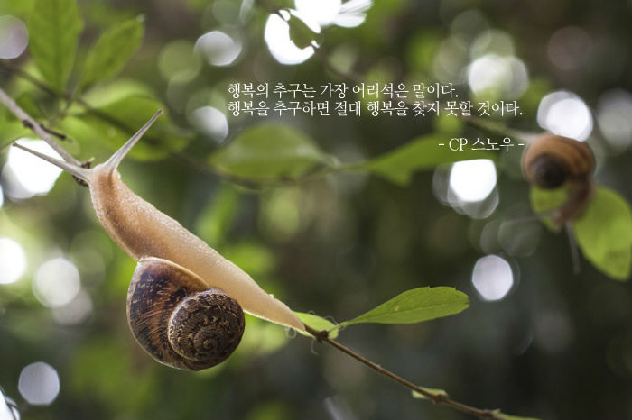 행복