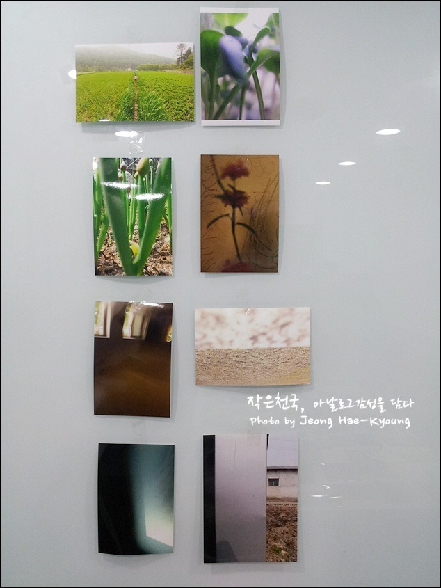 [사진 셀렉트] 사진을 고르는 시각의 차이 