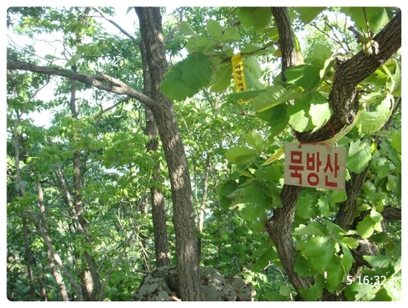 초당골 이미지
