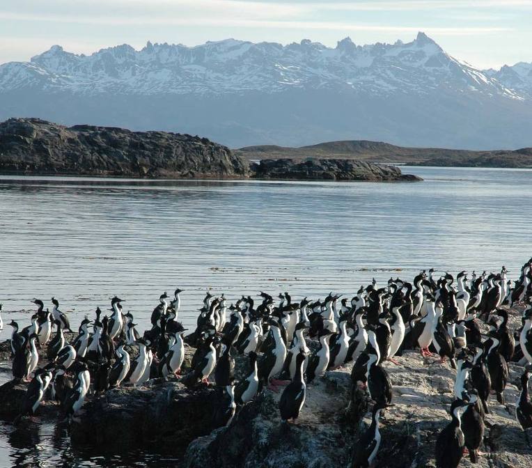 세계 최남단 도시...아르헨티나 우수아이아(Ushuaia) | 인스티즈
