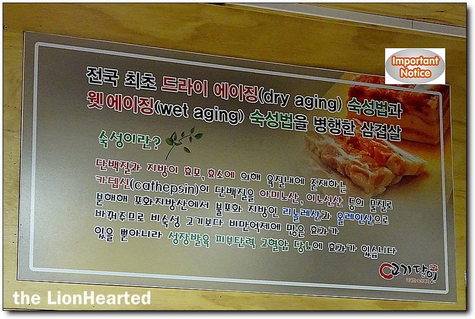 해변의돼지 이미지