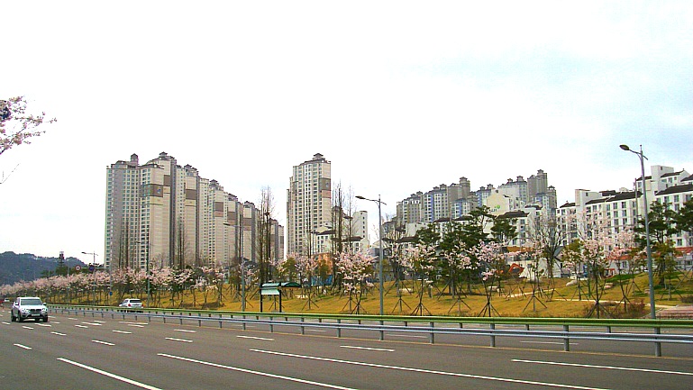 2267A638551E8DB9090321
