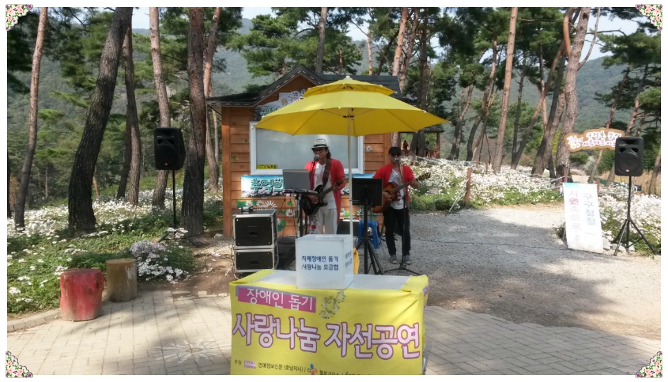 동료들과 정읍구절초 테마공원에 다녀왔습니다.