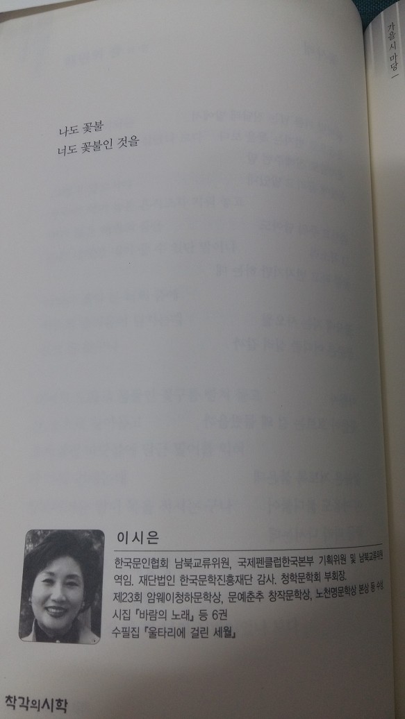 해변의 품. 꽃사태/ 이시은 (착각의 시학)