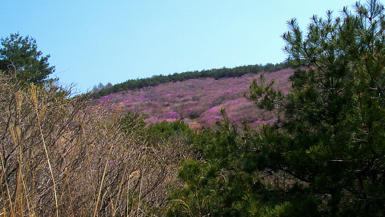 234CEA41552AF9FF2E416F