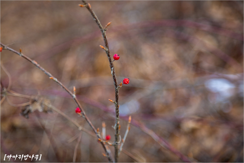 2016.12.31 인천 삼형제섬길(신도, 시도, 모도)을 걷다