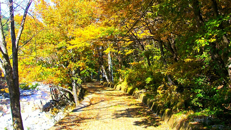 237EE148526DC6971016AC