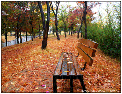 2435883D543E661A0E8FD7