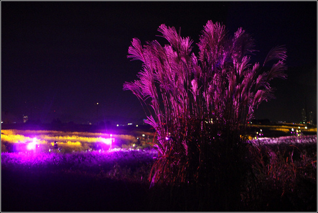 243CAA385447B2AF15EE17