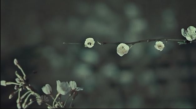 이젠홍콩인지욕망인지모르겠는미드 한니발(Hannibal) 시즌2 에피 6 Futamono (2/4) (시체주의) | 인스티즈